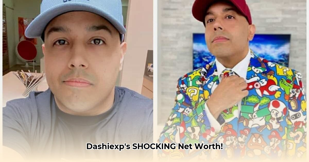 dashiexp-net-worth